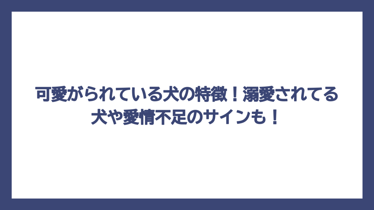 可愛がられている犬の特徴！溺愛されてる犬や愛情不足のサインも！