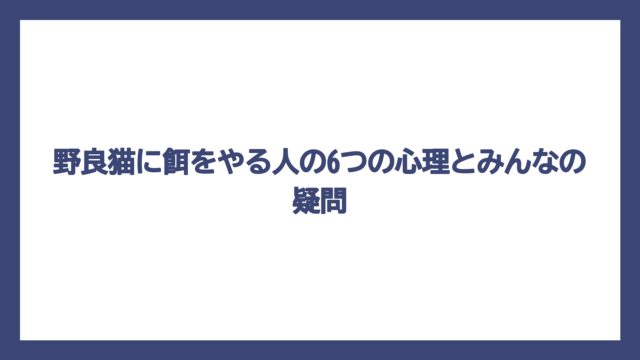 野良猫に餌をやる人の6つの心理とみんなの疑問