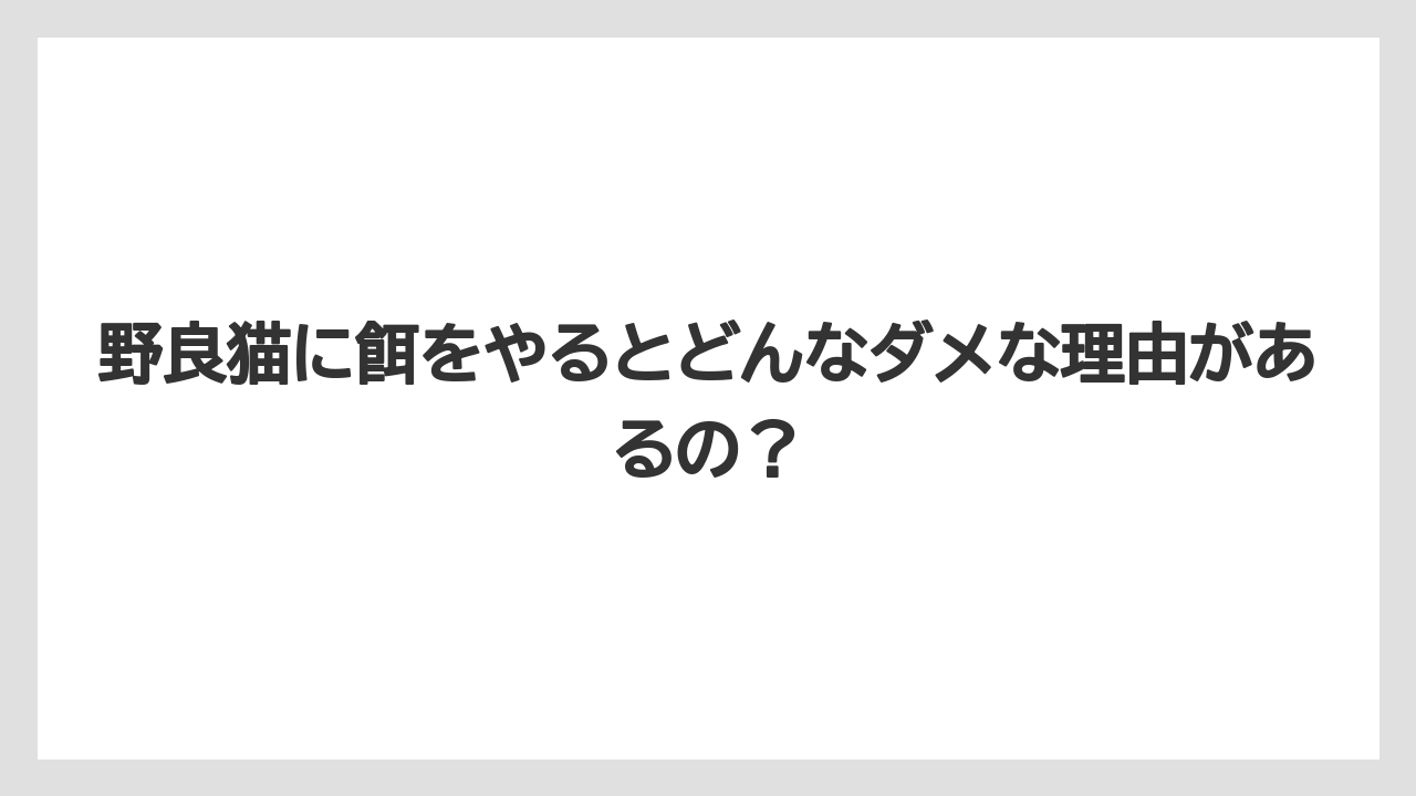 野良猫に餌をやるとどんなダメな理由があるの？