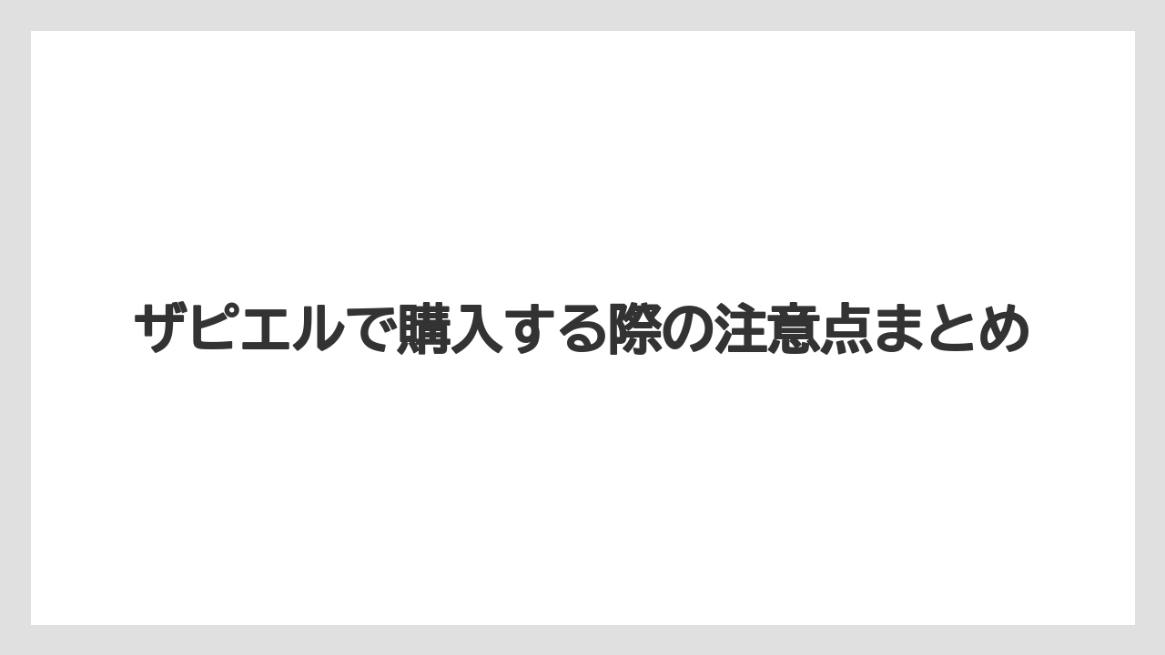 ザピエルで購入する際の注意点まとめ