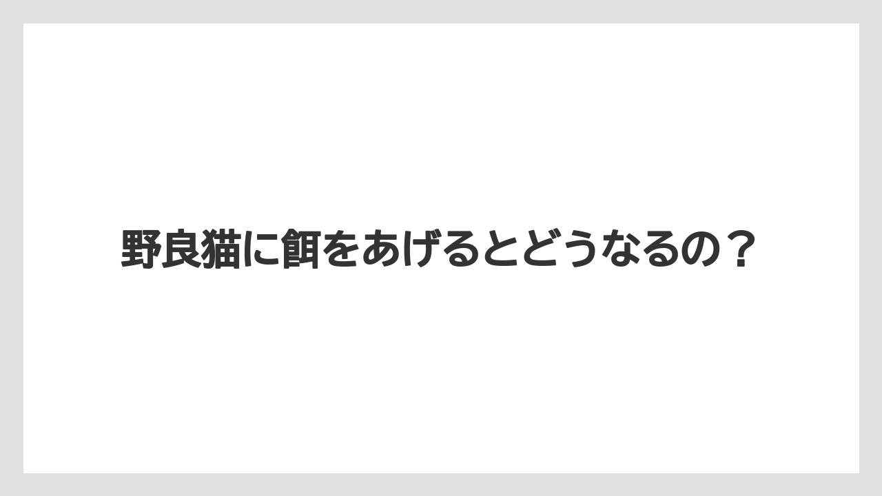 野良猫に餌をあげるとどうなるの？