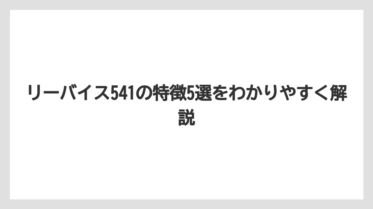 リーバイス541の特徴5選をわかりやすく解説