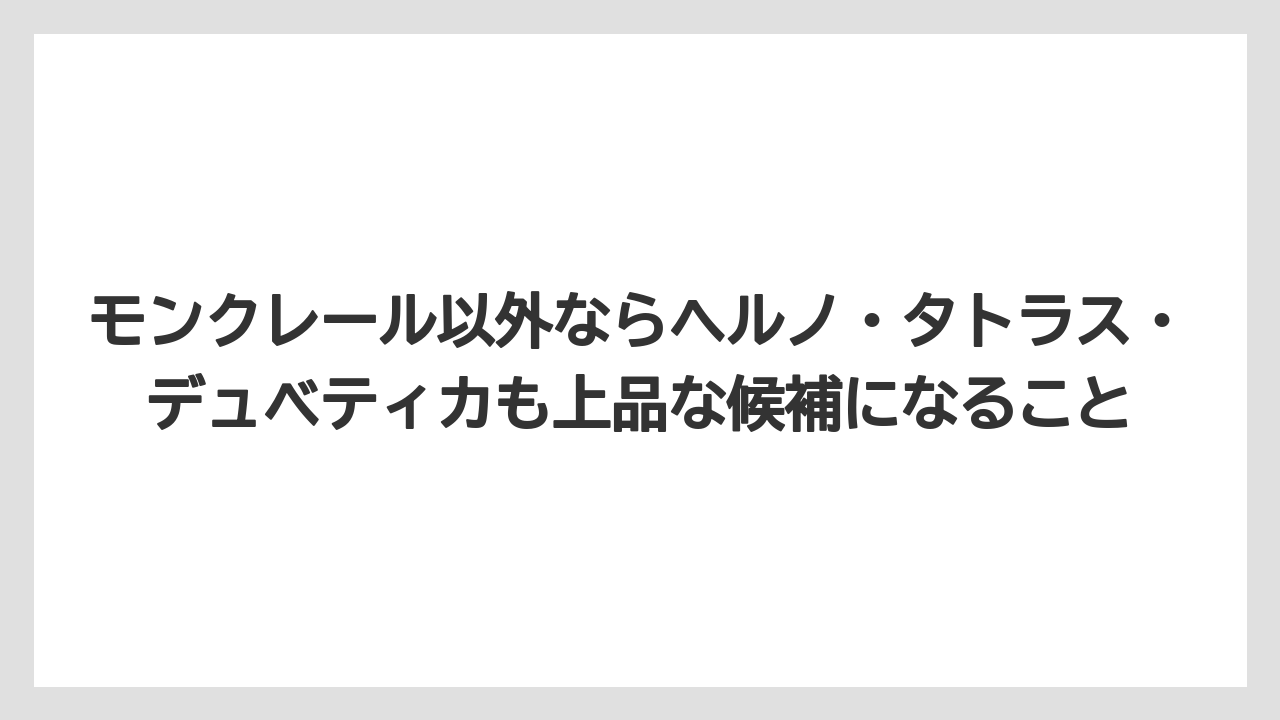 モンクレール以外ならヘルノ・タトラス・デュベティカも上品な候補になること
