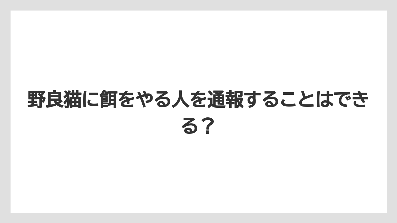 野良猫に餌をやる人を通報することはできる？