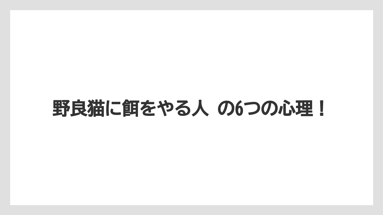 野良猫に餌をやる人 の6つの心理！