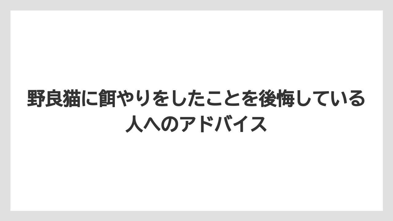 野良猫に餌やりをしたことを後悔している人へのアドバイス