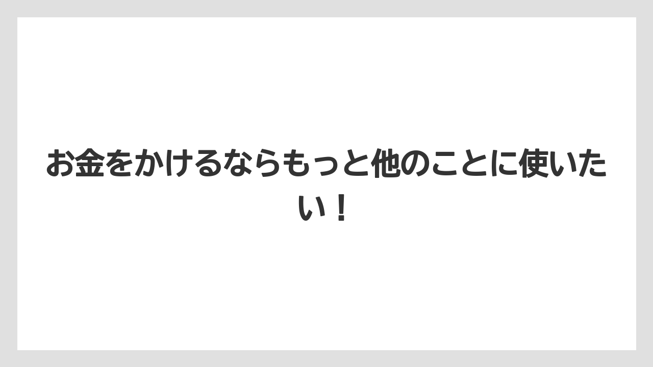 お金をかけるならもっと他のことに使いたい!