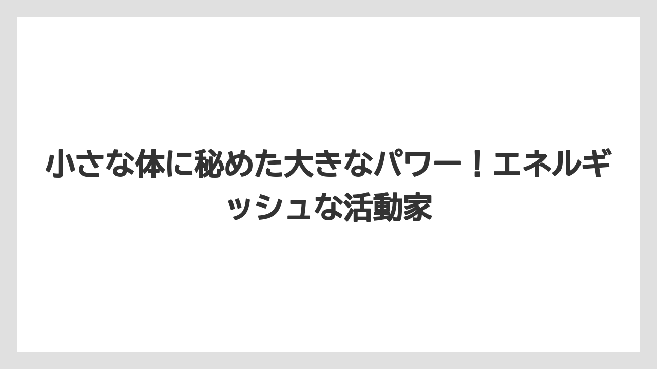小さな体に秘めた大きなパワー!エネルギッシュな活動家