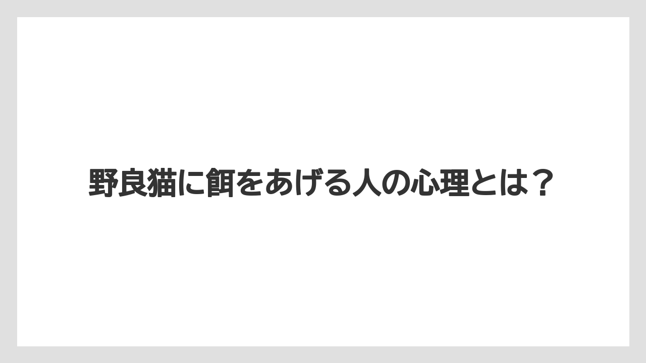 野良猫に餌をあげる人の心理とは？