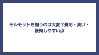 モルモットを飼うのは大変？費用・臭い・後悔しやすい点
