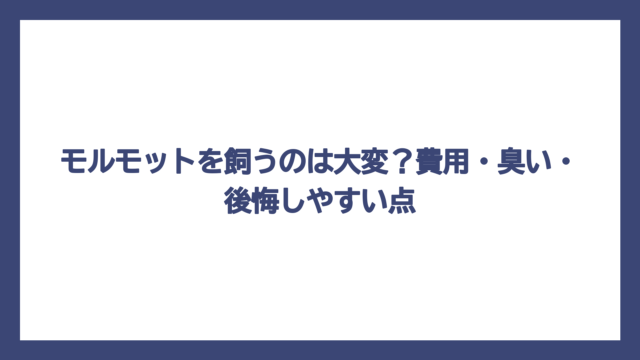 モルモットを飼うのは大変？費用・臭い・後悔しやすい点