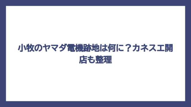小牧のヤマダ電機跡地は何に？カネスエ開店も整理