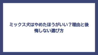 ミックス犬はやめたほうがいい？理由と後悔しない選び方