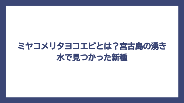 ミヤコメリタヨコエビとは？宮古島の湧き水で見つかった新種
