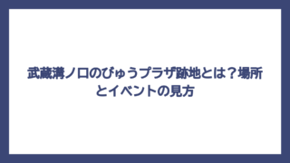 武蔵溝ノ口のびゅうプラザ跡地とは？場所とイベントの見方