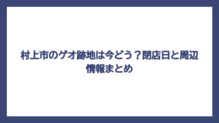 村上市のゲオ跡地は今どう？閉店日と周辺情報まとめ
