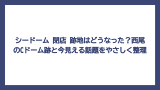 シードーム 閉店 跡地はどうなった？西尾のCドーム跡と今見える話題をやさしく整理