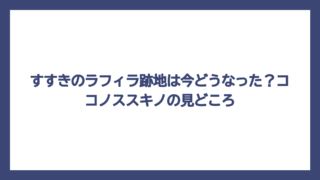 すすきのラフィラ跡地は今どうなった？ココノススキノの見どころ