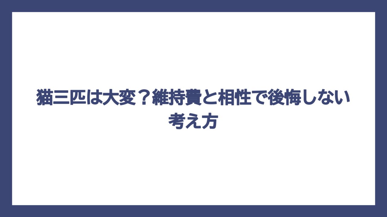 猫三匹は大変？維持費と相性で後悔しない考え方