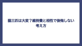 猫三匹は大変？維持費と相性で後悔しない考え方