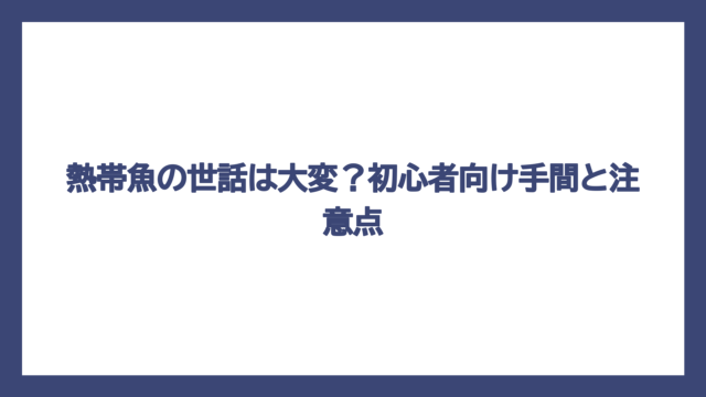 熱帯魚の世話は大変？初心者向け手間と注意点