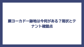 蕨ヨーカドー跡地は今何がある？現状とテナント確認点