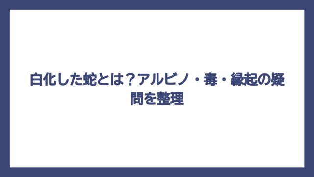 白化した蛇とは？アルビノ・毒・縁起の疑問を整理