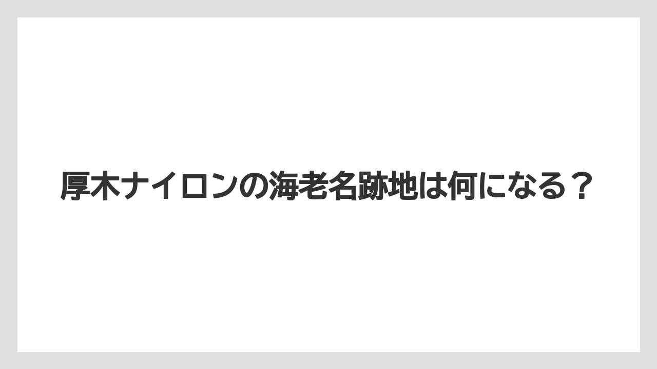 厚木ナイロンの海老名跡地は何になる?