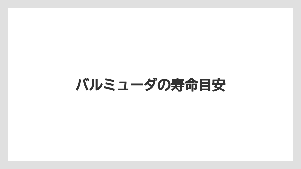 バルミューダの寿命目安