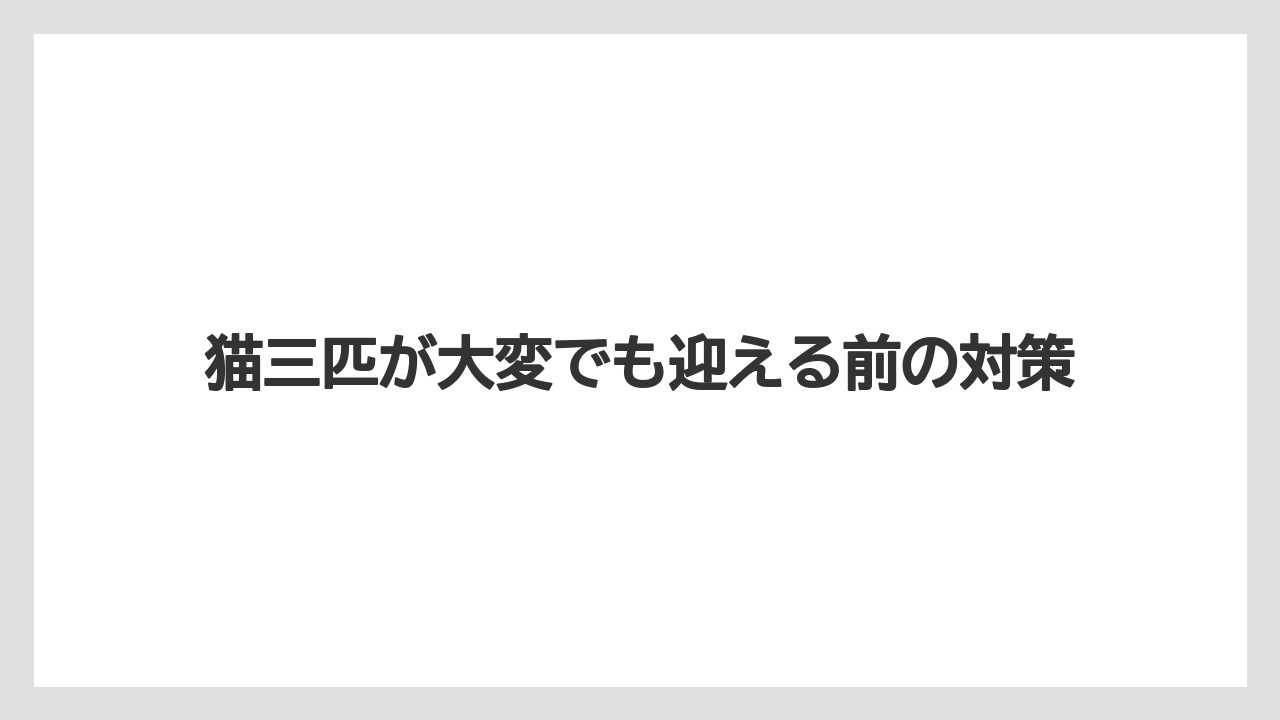 猫三匹が大変でも迎える前の対策