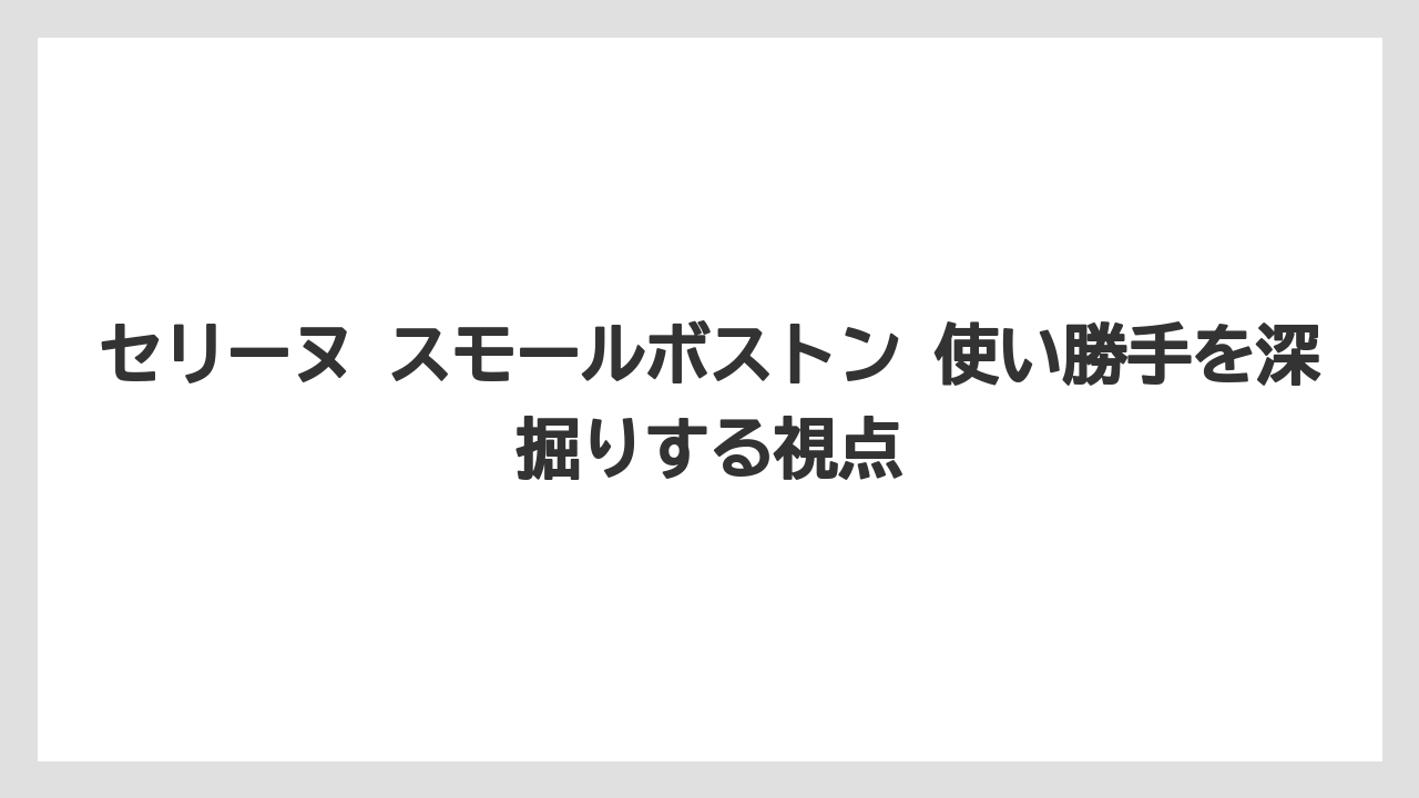 セリーヌ スモールボストン 使い勝手を深掘りする視点