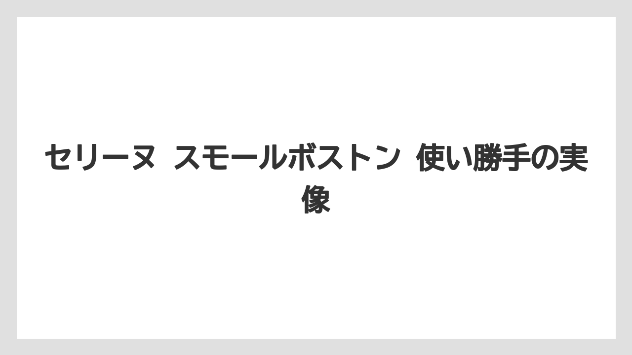 セリーヌ スモールボストン 使い勝手の実像