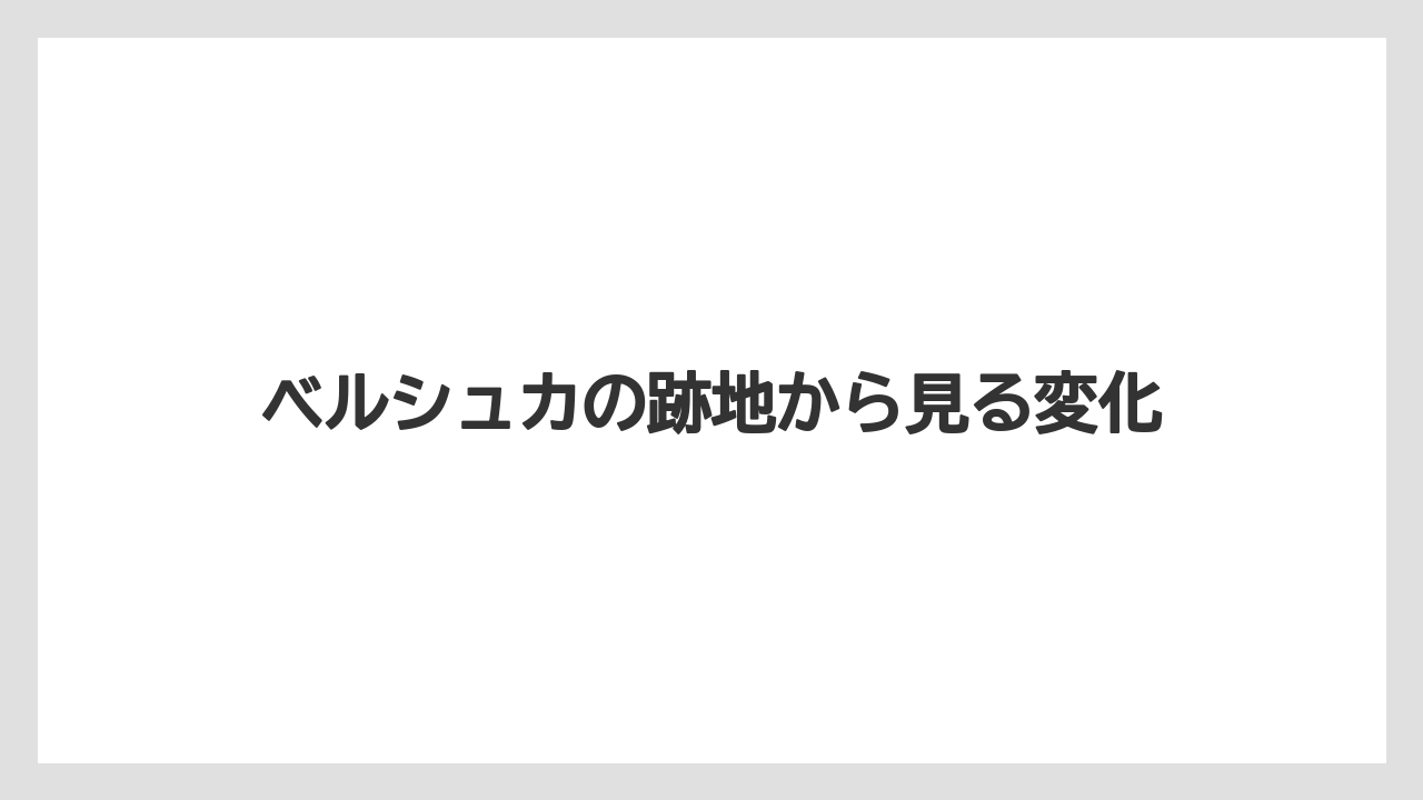ベルシュカの跡地から見る変化