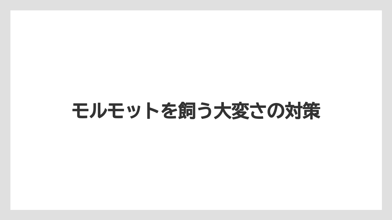 モルモットを飼う大変さの対策