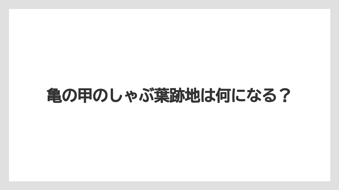 亀の甲のしゃぶ葉跡地は何になる？
