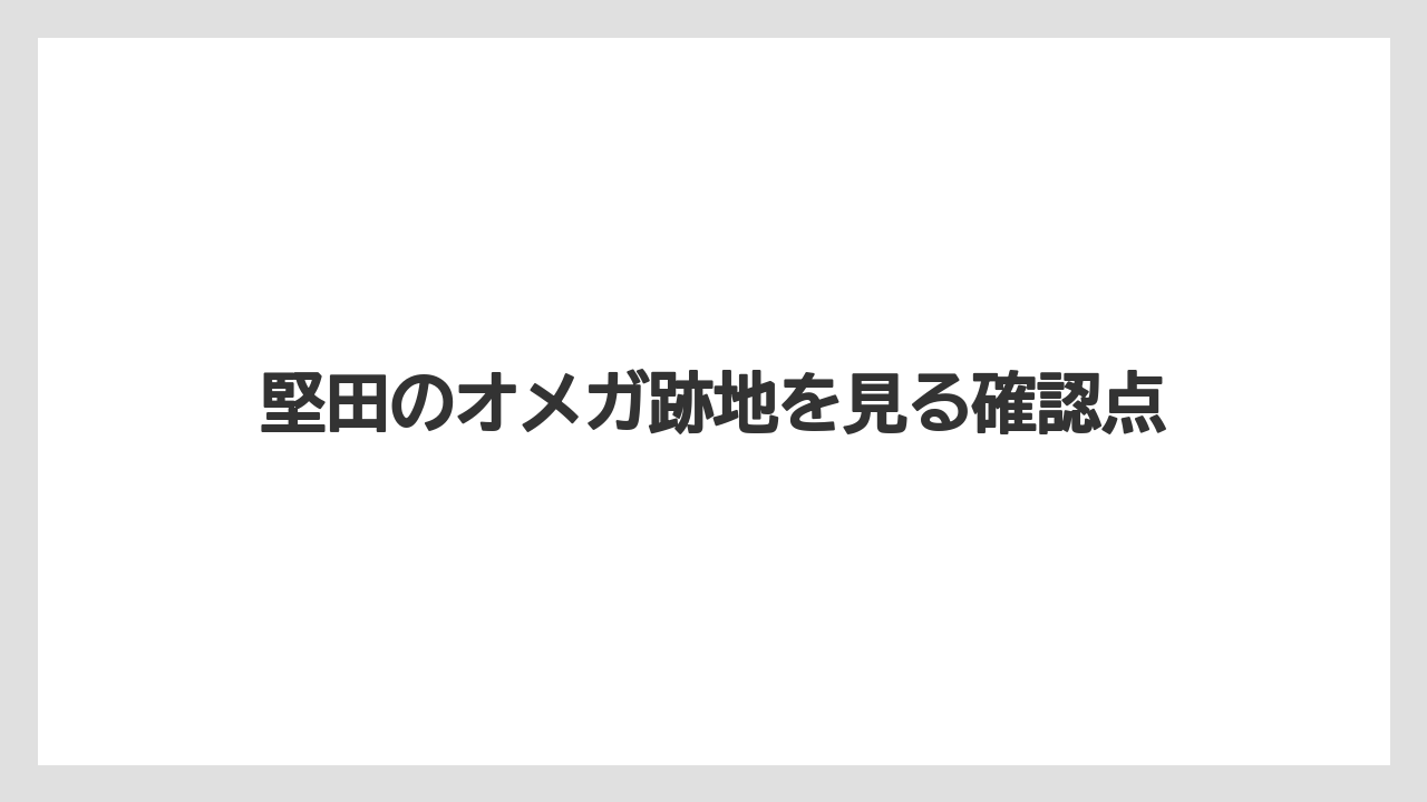 堅田のオメガ跡地を見る確認点