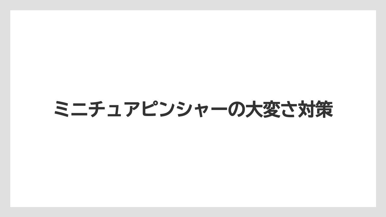 ミニチュアピンシャーの大変さ対策