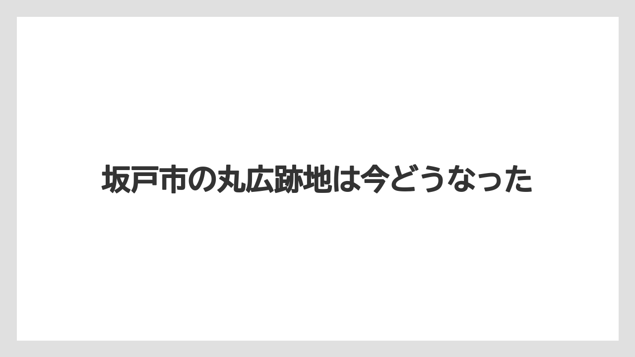 坂戸市の丸広跡地は今どうなった