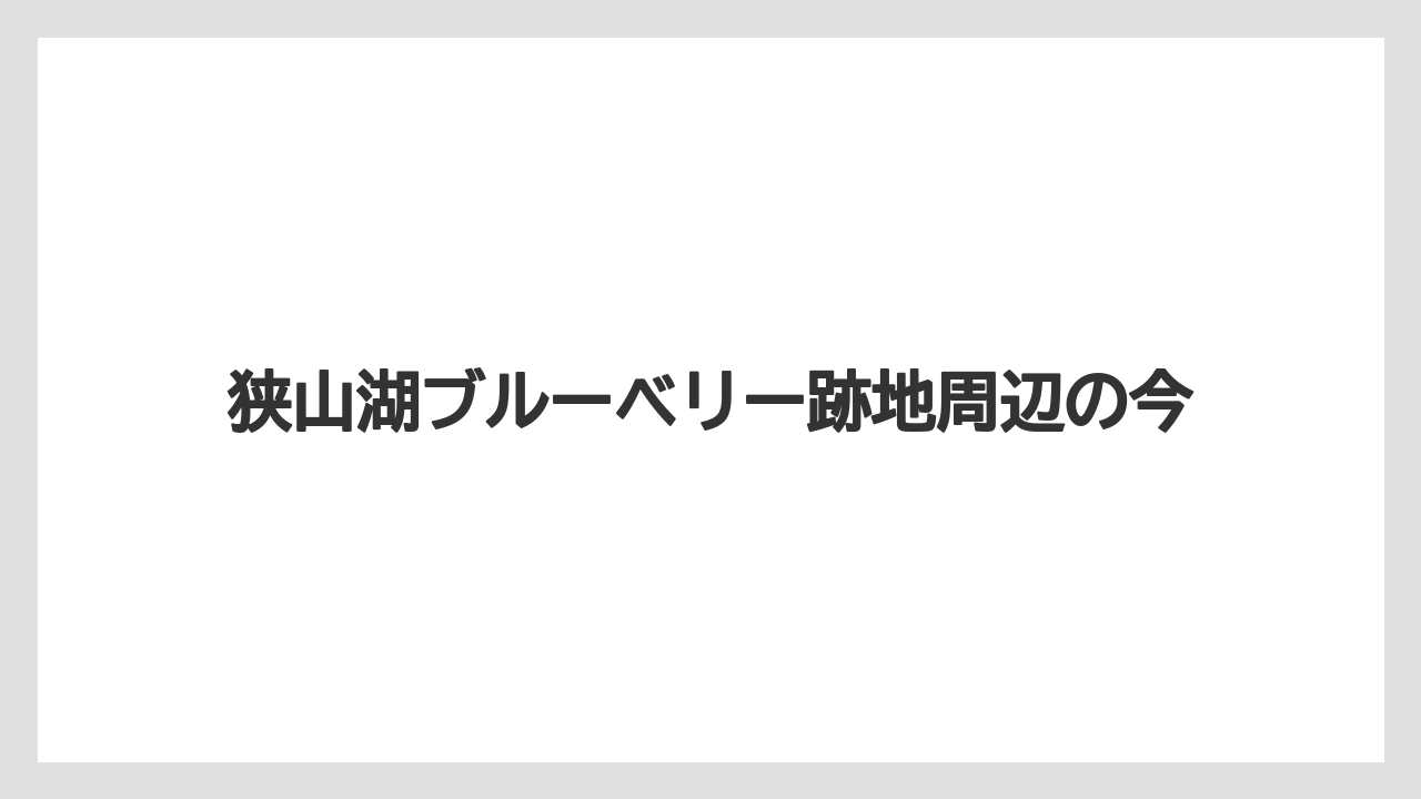 狭山湖ブルーベリー跡地周辺の今