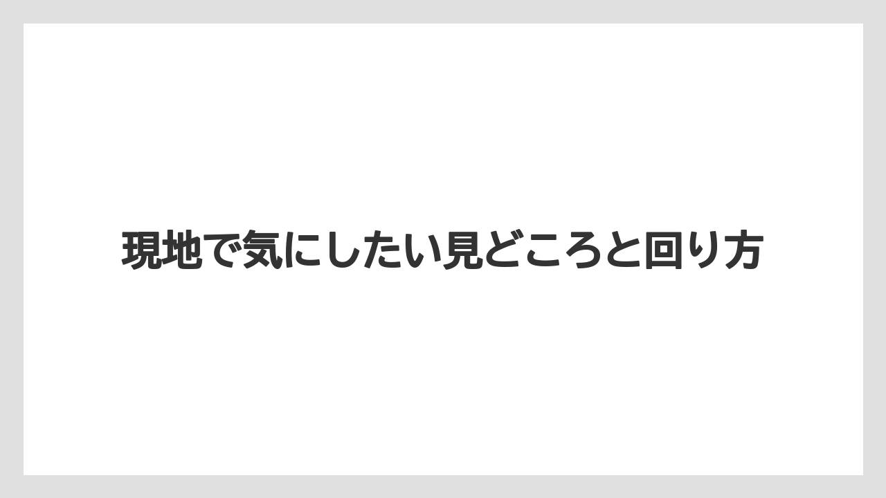 現地で気にしたい見どころと回り方