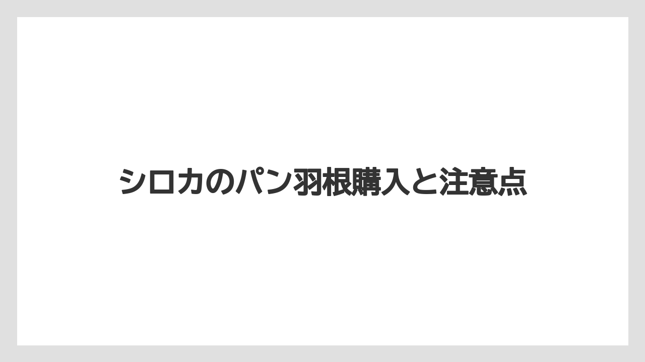 シロカのパン羽根購入と注意点