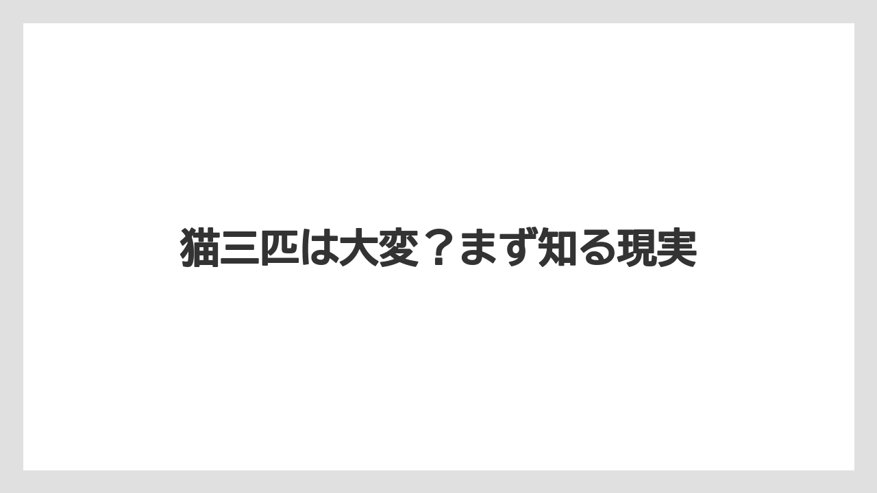 猫三匹は大変?まず知る現実
