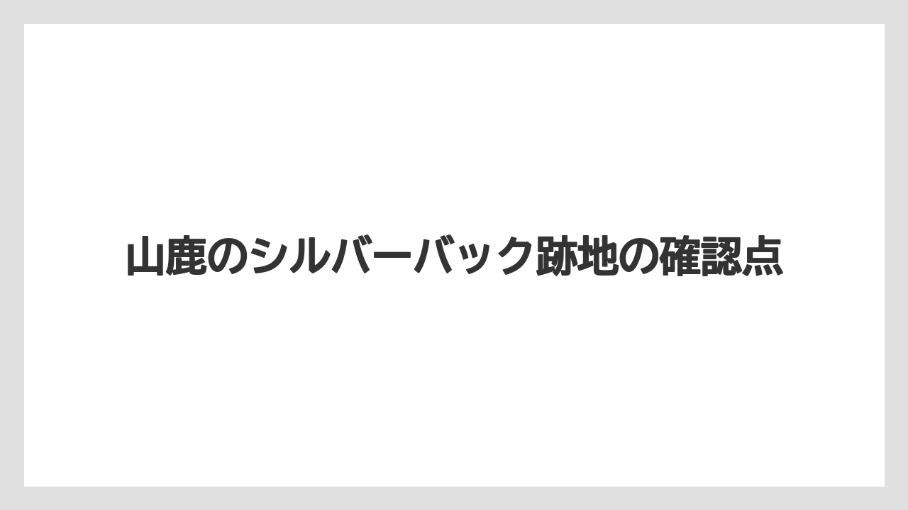 山鹿のシルバーバック跡地の確認点