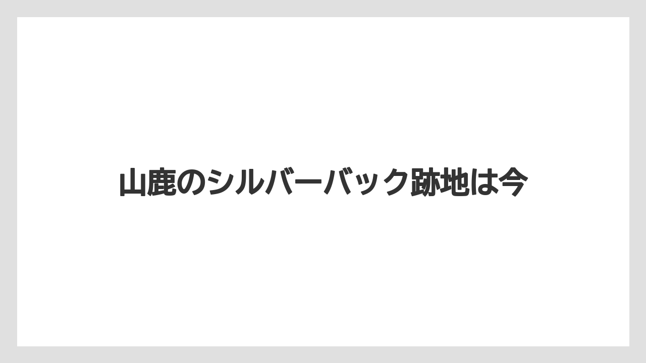 山鹿のシルバーバック跡地は今