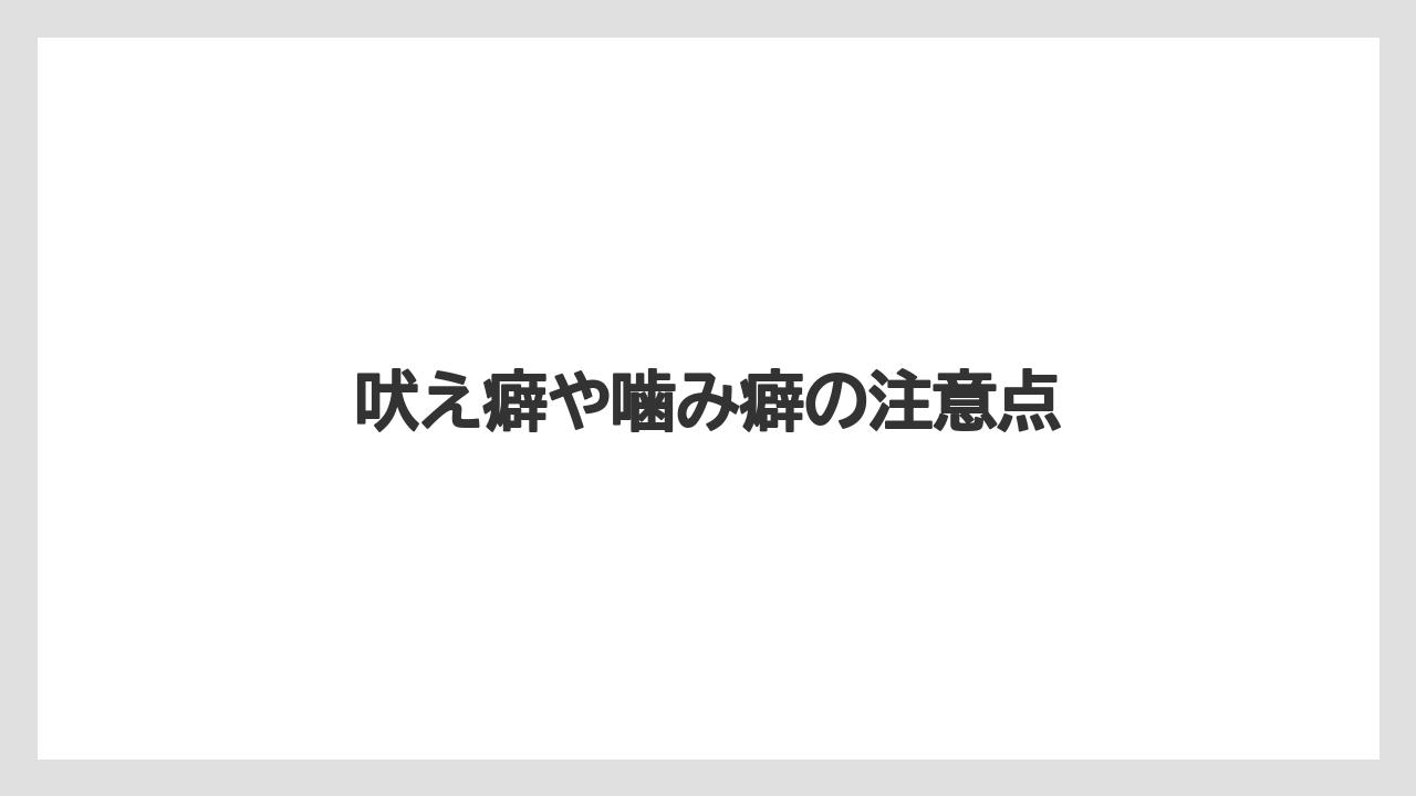 吠え癖や噛み癖の注意点