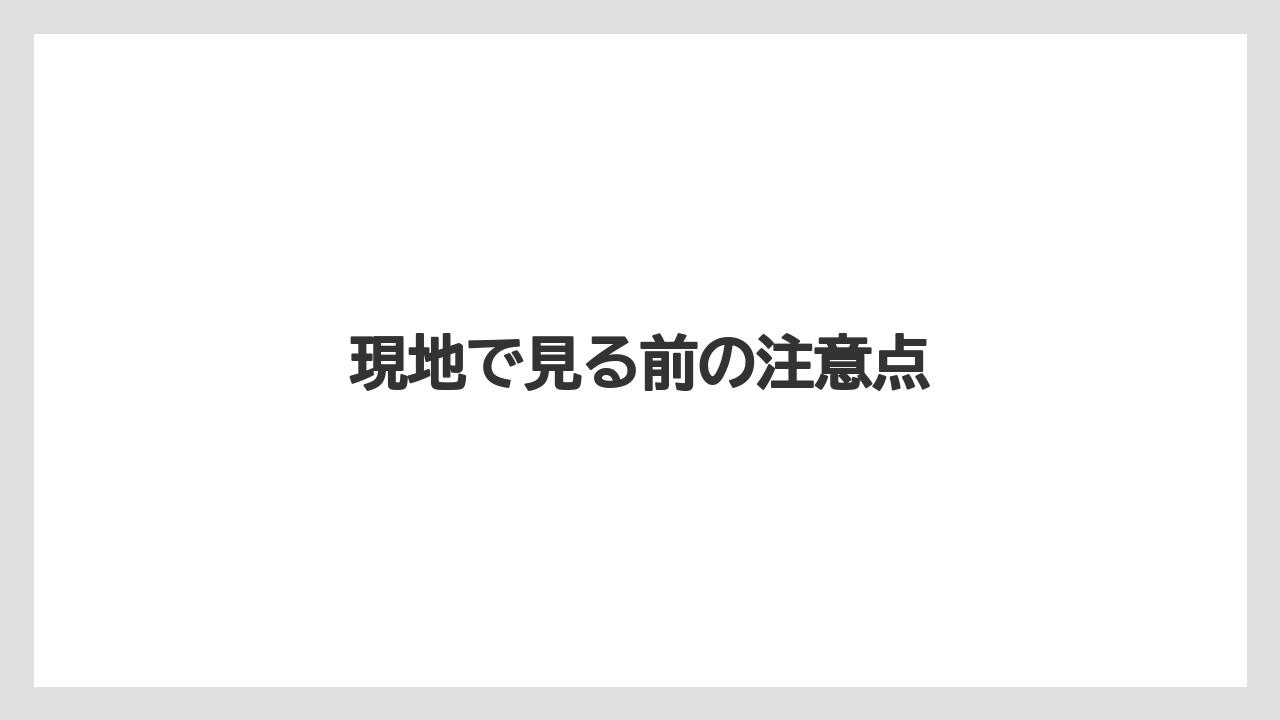 現地で見る前の注意点