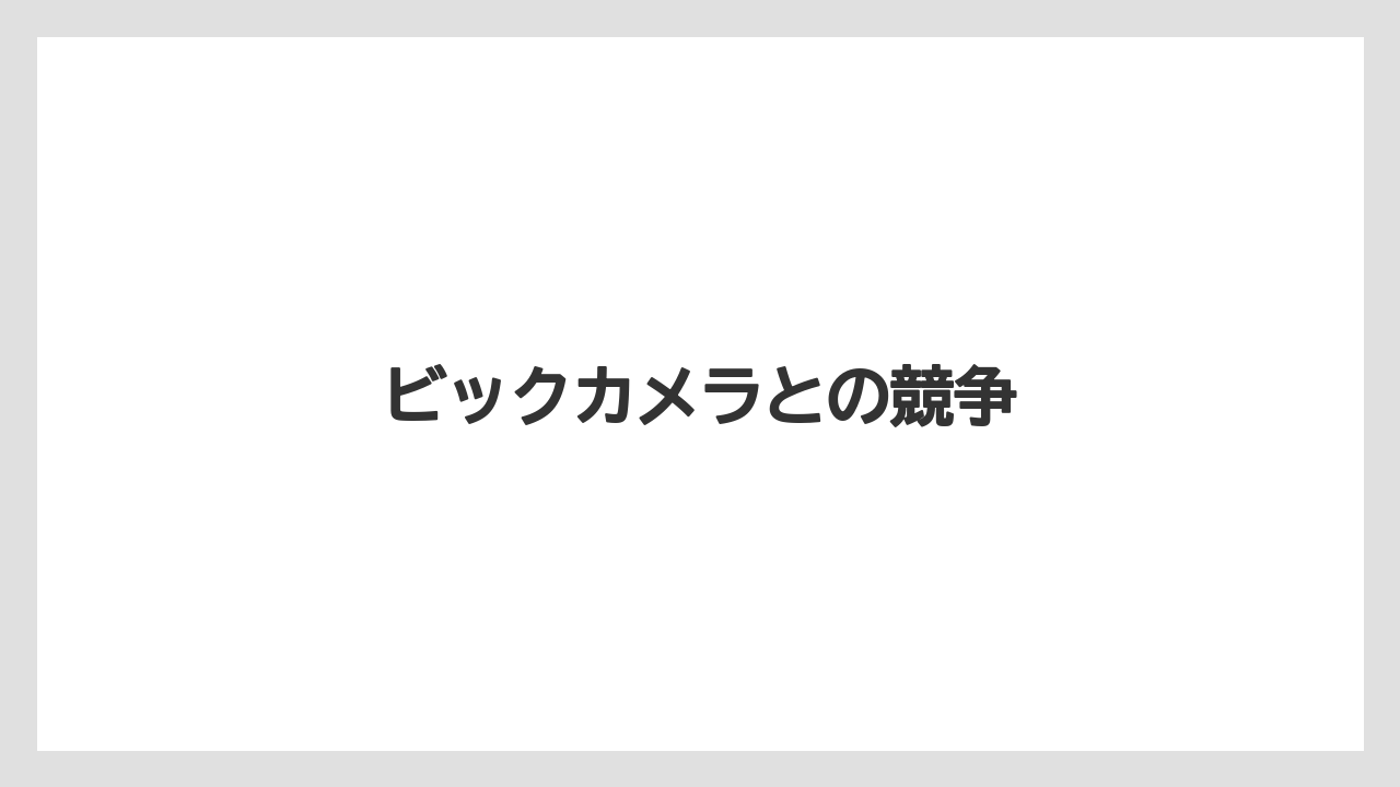 ビックカメラとの競争