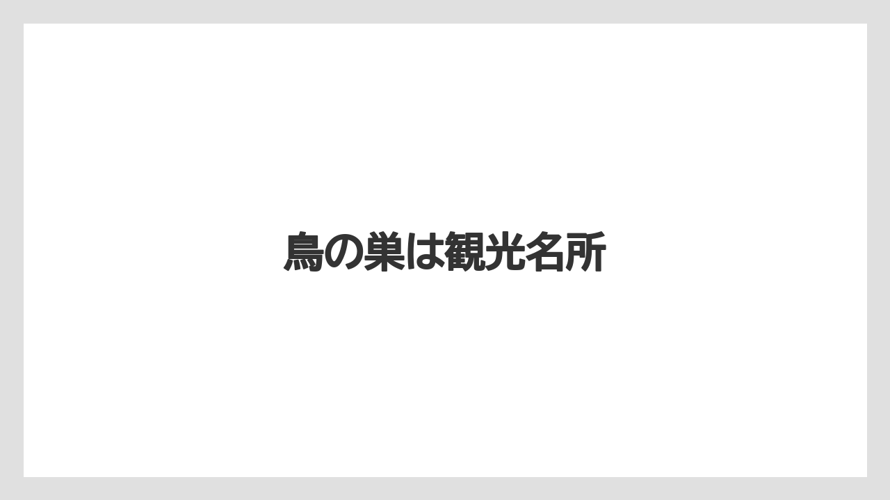 鳥の巣は観光名所