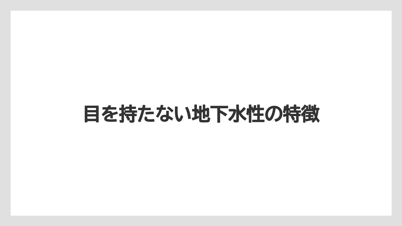 目を持たない地下水性の特徴