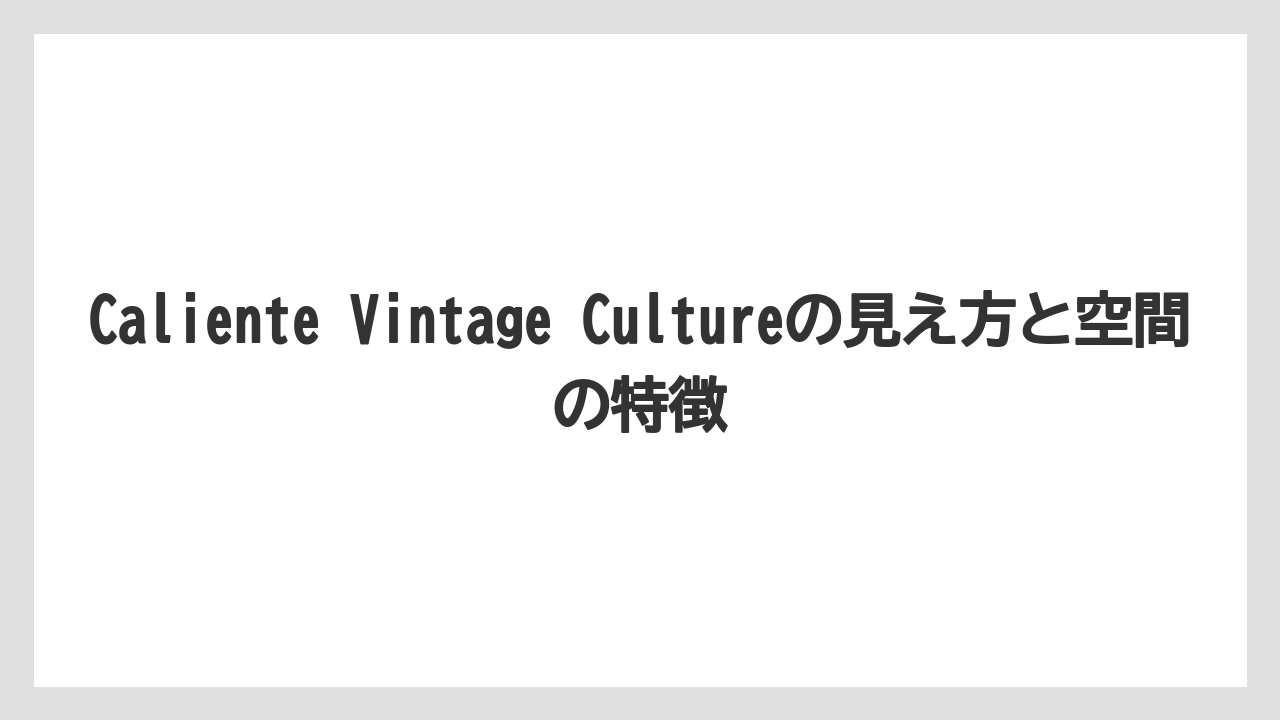 Caliente Vintage Cultureの見え方と空間の特徴